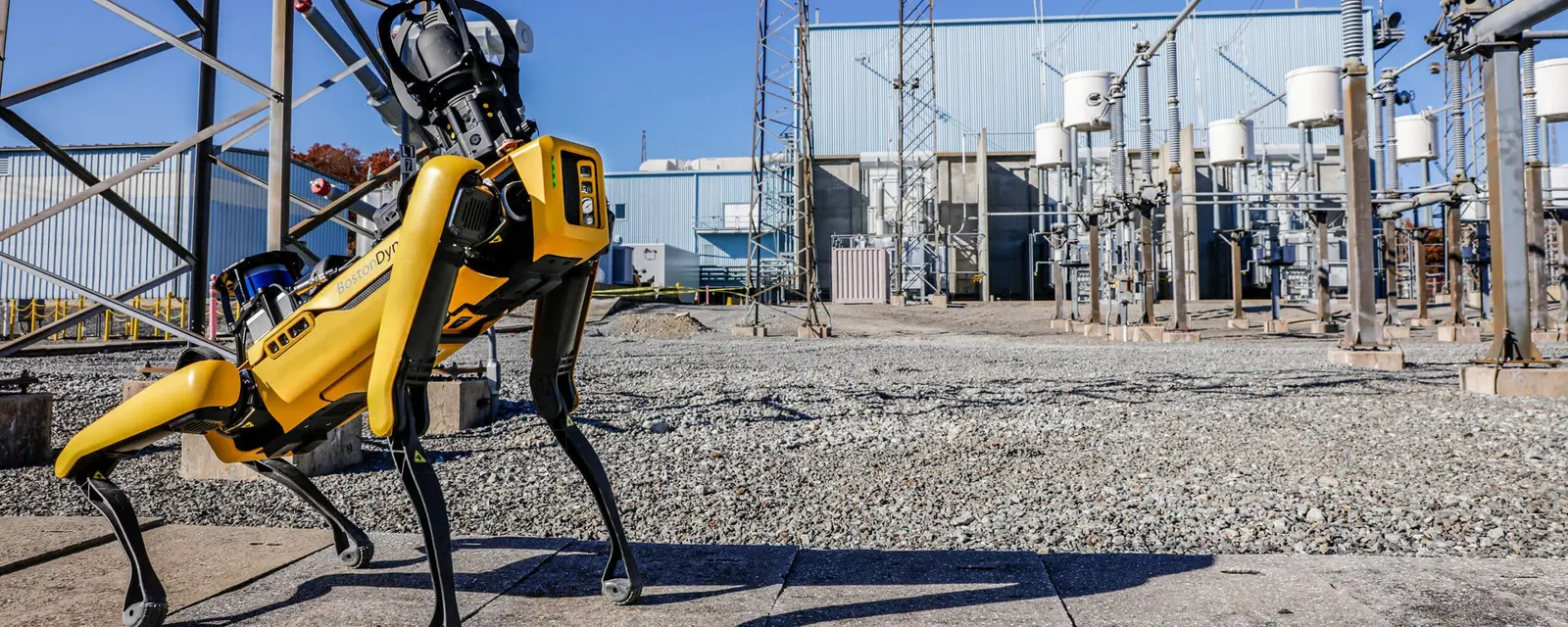 Robot quadrupède Boston Dynamics Spot